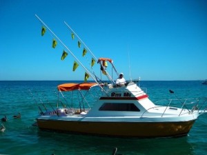 Bite Me Boat
